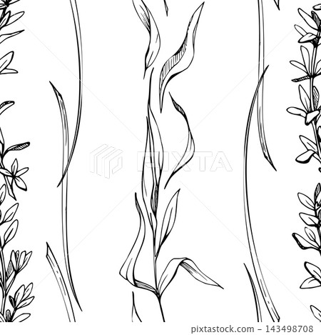 Tarragon, chives and lemongrass fragrant culinary herbs. Slender leaves, fresh foliage. Aromatic seasoning plants stripes. Isolated vector ink hand drawn seamless pattern. Tote bags, kitchen textiles Tarragon, chives and lemongrass fragrant culinary herbs. Slender leaves, fresh foliage. Aromatic seasoning plants stripes. Isolated vector ink hand drawn seamless pattern. Tote bags, kitchen textiles 143498708