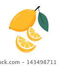 Flat lemon and citrus slices for food packaging beverage menus and kitchen branding 143498711