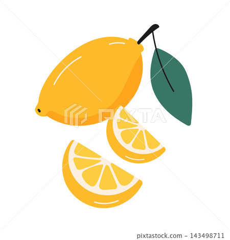 Flat lemon and citrus slices for food packaging beverage menus and kitchen branding Flat lemon and citrus slices for food packaging beverage menus and kitchen branding 143498711