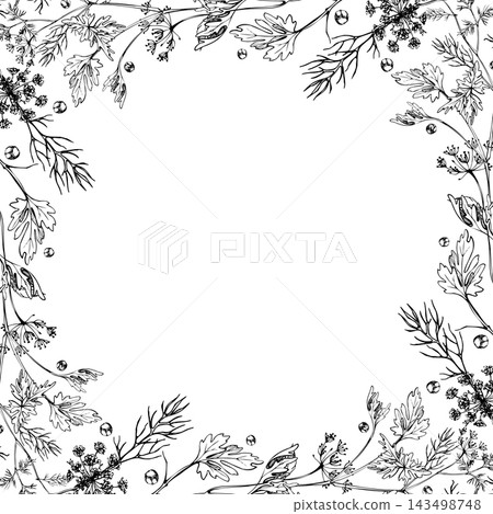 Coriander, parsley aromatic seeds, cumin, dill flowers, celery and peppercorns spice plants, fennel culinary herbs botanical border. Isolated hand drawn vector ink frame. Planners, digital stickers Coriander, parsley aromatic seeds, cumin, dill flowers, celery and peppercorns spice plants, fennel culinary herbs botanical border. Isolated hand drawn vector ink frame. Planners, digital stickers 143498748