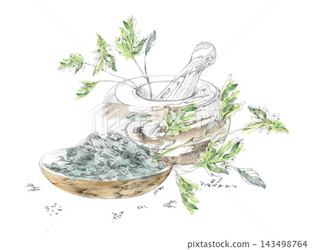 Rustic mortar, pestle and mixture dried plants, fresh parsley, celery leaves plant seasonings. Isolated hand drawn pencil, watercolor illustration. Herbal workshops, natural living, craft projects Rustic mortar, pestle and mixture dried plants, fresh parsley, celery leaves plant seasonings. Isolated hand drawn pencil, watercolor illustration. Herbal workshops, natural living, craft projects 143498764