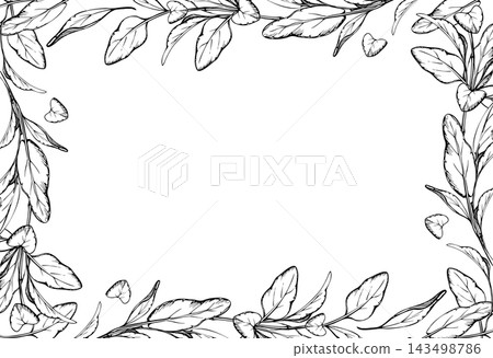 Sage, marjoram fragrant Mediterranean culinary herbs with aromatic leaves, fresh seasoning foliage decorative botanical border. Isolated hand drawn vector ink frame. Flashcards, board activity books Sage, marjoram fragrant Mediterranean culinary herbs with aromatic leaves, fresh seasoning foliage decorative botanical border. Isolated hand drawn vector ink frame. Flashcards, board activity books 143498786