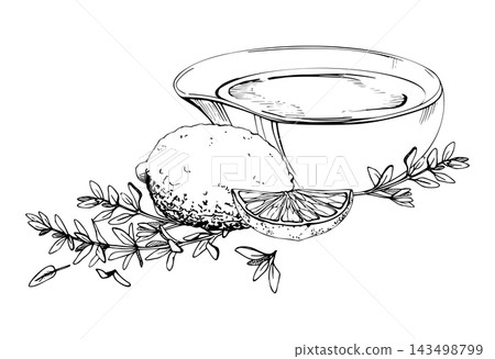 Lemon and thyme, vinegar or olive oil, porcelain water bowl. Mediterranean cuisine ingredients, fresh citrus, aromatic herbs and seasonal harvest. Isolated hand drawn vector ink illustration. Lemon and thyme, vinegar or olive oil, porcelain water bowl. Mediterranean cuisine ingredients, fresh citrus, aromatic herbs and seasonal harvest. Isolated hand drawn vector ink illustration. 143498799