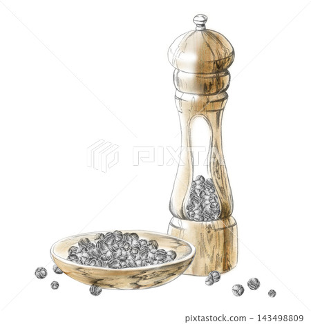 Pepper mill grinder, black peppercorns aromatic seasoning in rustic wooden bowl. Isolated hand drawn pencil and watercolor illustration. Cooking guides, spice references, recipe books, food culture. Pepper mill grinder, black peppercorns aromatic seasoning in rustic wooden bowl. Isolated hand drawn pencil and watercolor illustration. Cooking guides, spice references, recipe books, food culture. 143498809