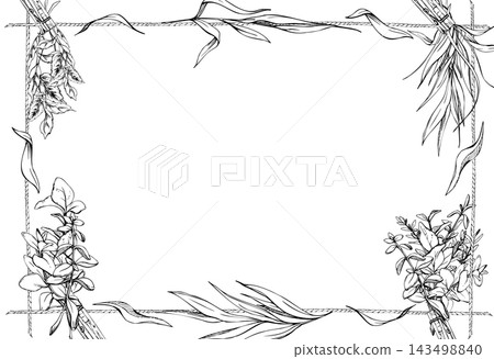 Rosemary, thyme and sage bundles hanging from rope with wooden clothespins. Dried aromatic herbs, preserved culinary plants rustic harvest. Isolated hand drawn vector ink frame. Slow living guides Rosemary, thyme and sage bundles hanging from rope with wooden clothespins. Dried aromatic herbs, preserved culinary plants rustic harvest. Isolated hand drawn vector ink frame. Slow living guides 143498840