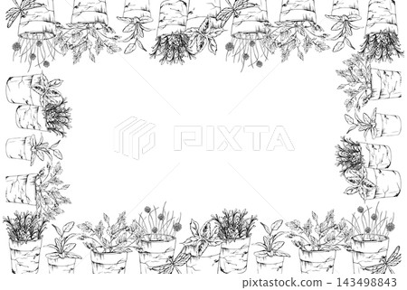 Terracotta flower pots of fragrant Mediterranean kitchen herbs. Basil, marjoram, oregano, sage and rosemary edible garden plants and lush aromatic foliage. Isolated hand drawn vector ink frame. Terracotta flower pots of fragrant Mediterranean kitchen herbs. Basil, marjoram, oregano, sage and rosemary edible garden plants and lush aromatic foliage. Isolated hand drawn vector ink frame. 143498843