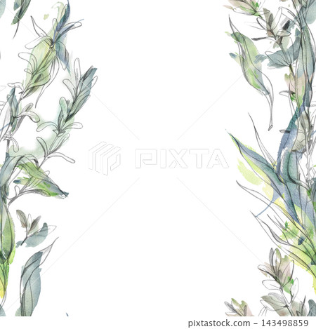 Tarragon, thyme Mediterranean herbs, savory and purslane medicinal plants, edible garden species with fragrant leaves. Isolated hand drawn pencil and watercolor seamless banner. Food, drinks packaging Tarragon, thyme Mediterranean herbs, savory and purslane medicinal plants, edible garden species with fragrant leaves. Isolated hand drawn pencil and watercolor seamless banner. Food, drinks packaging 143498859