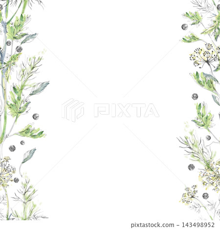 Parsley, celery, scattered peppercorns, dill and fennel edible herbs, seasoning plants and aromatic ingredients with leafy greens. Isolated hand drawn pencil outline, watercolor bleeds seamless banner Parsley, celery, scattered peppercorns, dill and fennel edible herbs, seasoning plants and aromatic ingredients with leafy greens. Isolated hand drawn pencil outline, watercolor bleeds seamless banner 143498952