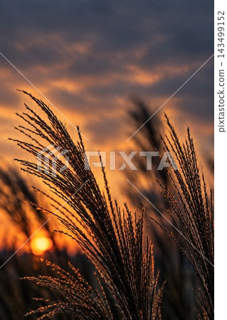 The snow scene of evening scenery The snow scene of evening scenery 143499152