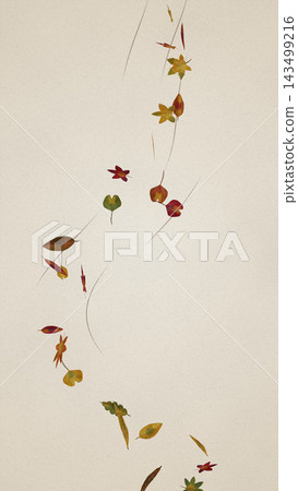 Autumn Wind Swirl Leaves Watercolor Backdrop Illustration Autumn Wind Swirl Leaves Watercolor Backdrop Illustration 143499216