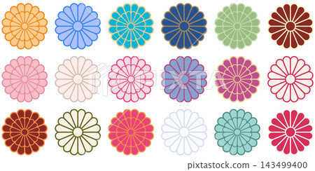 Colorful chrysanthemum flower illustration parts that can be used for New Year's cards and Japanese-style designs. 143499400
