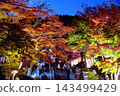 大山秋葉節 143499429