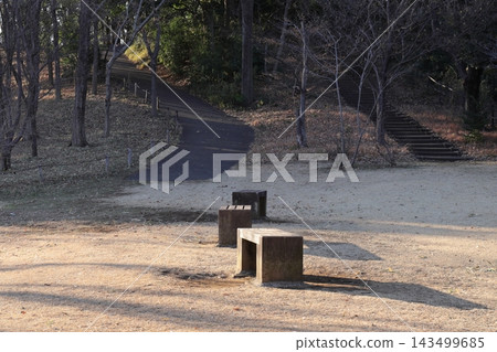 公園長椅和長椅旁的步道的景色。 公園長椅和長椅旁的步道的景色。 143499685
