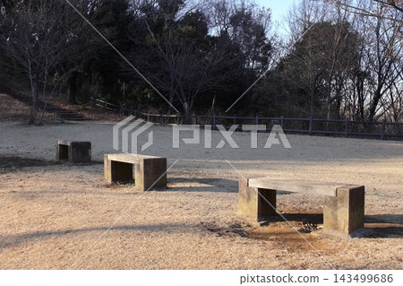 公園長椅和光禿禿的冬樹 公園長椅和光禿禿的冬樹 143499686