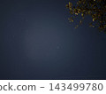 Deep Blue Starry Night Sky With Tree Branches Deep Blue Starry Night Sky With Tree Branches 143499780