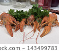 Boiled Red Crayfish Served With Fresh Green Parsley Boiled Red Crayfish Served With Fresh Green Parsley 143499783