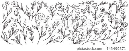 Hand Drawn Botanical Wildflowers and Foliage Line Art Clipart Collection on White Hand Drawn Botanical Wildflowers and Foliage Line Art Clipart Collection on White 143499871