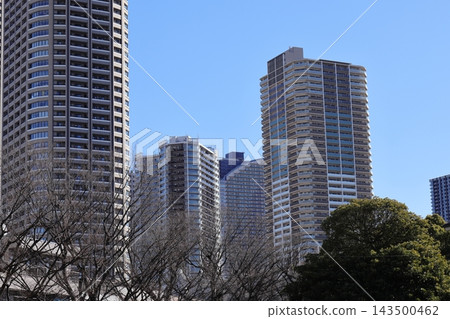 武藏小杉的高層公寓大樓和冬季的樹木 武藏小杉的高層公寓大樓和冬季的樹木 143500462