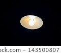 Bare light bulb light 143500807