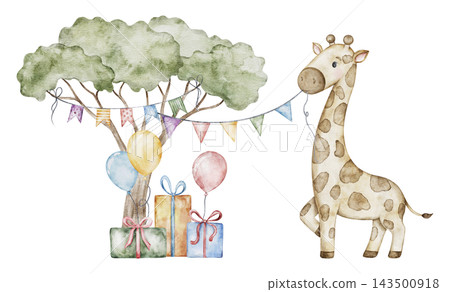 Watercolor illustration with cute African baby animal on birthday. Safari giraffe with flags garland, balloon and gifts. Hand drawn big print for party invitations, wallpaper stickers and nursery Watercolor illustration with cute African baby animal on birthday. Safari giraffe with flags garland, balloon and gifts. Hand drawn big print for party invitations, wallpaper stickers and nursery 143500918