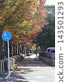 Autumn foliage and walking paths along the Nikaryo Canal in Musashi-Kosugi 143501293