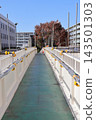 Temporary walkway and autumn foliage scenery 143501303