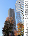 Blue skies, high-rise apartments, and autumn leaves in Musashi-Kosugi 143501304