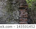 Abandoned ruined brick wall texture with moss, overgrown green plants and damaged red clay masonry. Vintage industrial background for architectural design, grunge urban patterns and historical decay. 143501452
