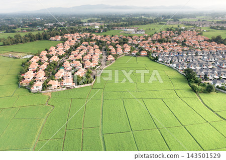 Residential property expansion across green farmland in suburban Chiang Mai. Residential property expansion across green farmland in suburban Chiang Mai. 143501529