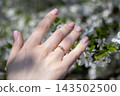 A gold diamond engagement ring on a person finger with light pink manicure, set against a soft blurred background of white blooming spring cherry tree flowers, symbolizing romance 143502500