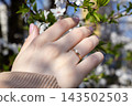 A gold diamond ring on a hand reaching toward blooming spring flowers, representing engagement, love, and romantic commitment during a sunny outdoor season in a soft natural setting 143502503