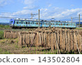 The Jomo Line in autumn is dazzling with rice plants hung on racks. 143502804