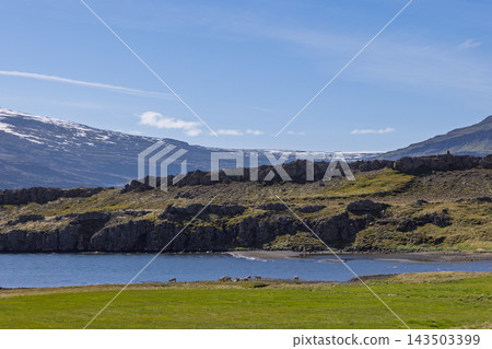 Iceland coastal valley with grazing animals, rocky shoreline and snowy mountains Iceland coastal valley with grazing animals, rocky shoreline and snowy mountains 143503399