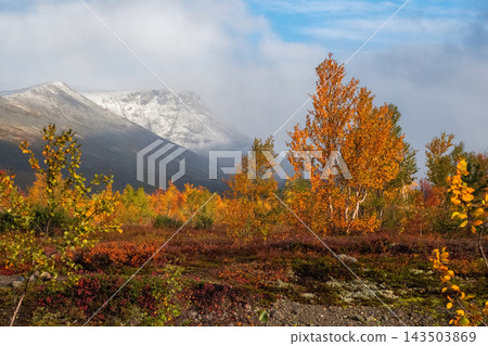 Epic Snow-Capped Mountain Pass in Rugged Arctic Wilderness Landscape Epic Snow-Capped Mountain Pass in Rugged Arctic Wilderness Landscape 143503869