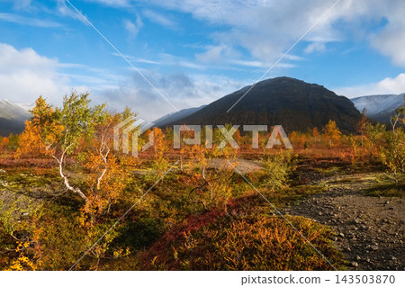 Pristine Arctic Ecosystem and Environmental Conservation in Khibiny Mountains 143503870