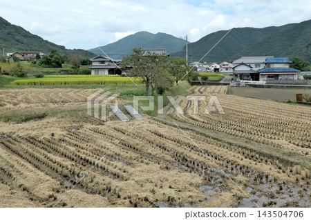 坐落在群山環繞的鄉村和居民點，稻田在收割後綿延不絕。 143504706