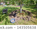 Gardening work in an organic orchard. 143505638