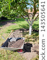 Gardening work in an organic orchard. 143505641