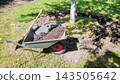 Gardening work in an organic orchard. 143505642