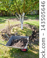 Gardening work in an organic orchard. 143505646