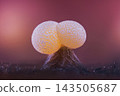 Slime mold - Physarum viride. It's a small protist organism 143505687