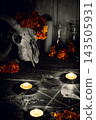 Samhain ritual altar with horny animal skull, marigolds, pentagram and burning candles. Celtic magic and worship, vertical image. 143505931