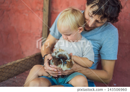Toddler strokes a guinea pig with his father's support. Sensory exploration and gentle animal interaction. Toddler strokes a guinea pig with his father's support. Sensory exploration and gentle animal interaction. 143506960