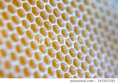 Close look at honeycomb structure showing hexagonal cells filled with honey Close look at honeycomb structure showing hexagonal cells filled with honey 143507293