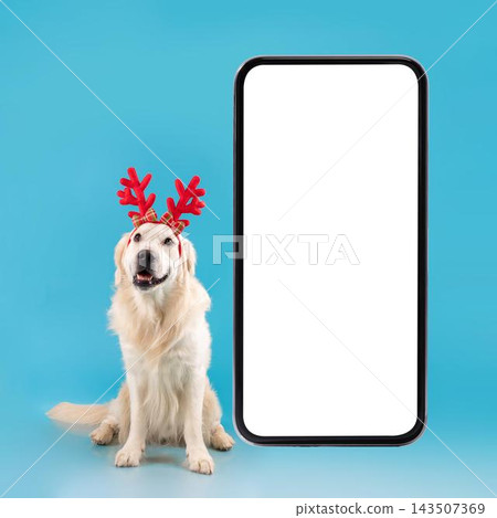 Happy Golden Retriever Dog Wearing Reindeer Antlers, Smiling Cheerfully While Sitting Next To Empty Smartphone Screen, Ideal For Christmas-themed Advertising In Studio Setting. Happy Golden Retriever Dog Wearing Reindeer Antlers, Smiling Cheerfully While Sitting Next To Empty Smartphone Screen, Ideal For Christmas-themed Advertising In Studio Setting. 143507369