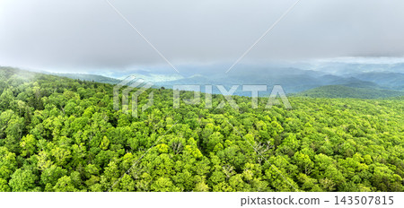 Nature landscape of Tennessee Appalachian mountains. Mountain forest with green canopies in summer rain season Nature landscape of Tennessee Appalachian mountains. Mountain forest with green canopies in summer rain season 143507815