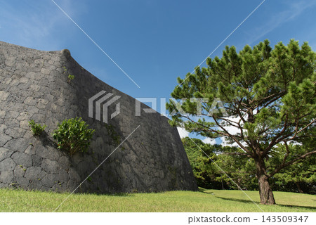 湛藍的天空,沖繩首里城的遺址,以及琉球松樹。 湛藍的天空,沖繩首里城的遺址,以及琉球松樹。 143509347