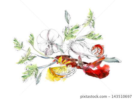 Fresh chili pepper, lemon vegetables, parsley or cilantro herbs and spices, rustic Mediterranean food. Isolated hand drawn pencil and watercolor illustration. Culinary publications, restaurant menu 143510697
