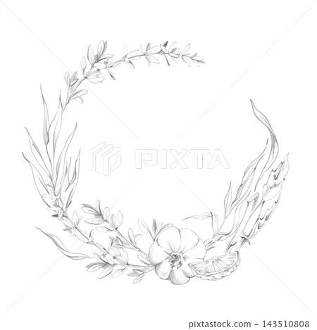 Tarragon, citrus, garlic cloves, thyme fresh herbs, aromatic spices, Mediterranean flavors. Isolated hand drawn wreath frame in graphite pencil. Gastronomy magazines, cultural local cuisine guides Tarragon, citrus, garlic cloves, thyme fresh herbs, aromatic spices, Mediterranean flavors. Isolated hand drawn wreath frame in graphite pencil. Gastronomy magazines, cultural local cuisine guides 143510808