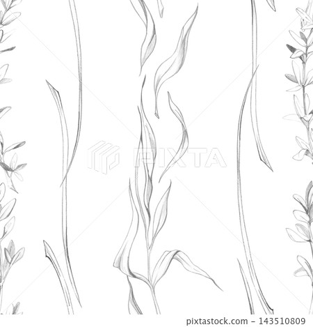 Tarragon, chives and lemongrass stripes, aromatic culinary herbs, fresh leaves and fragrant seasoning plants. Isolated pencil hand drawn seamless pattern. Kitchen decor, food wrapping, textile design Tarragon, chives and lemongrass stripes, aromatic culinary herbs, fresh leaves and fragrant seasoning plants. Isolated pencil hand drawn seamless pattern. Kitchen decor, food wrapping, textile design 143510809